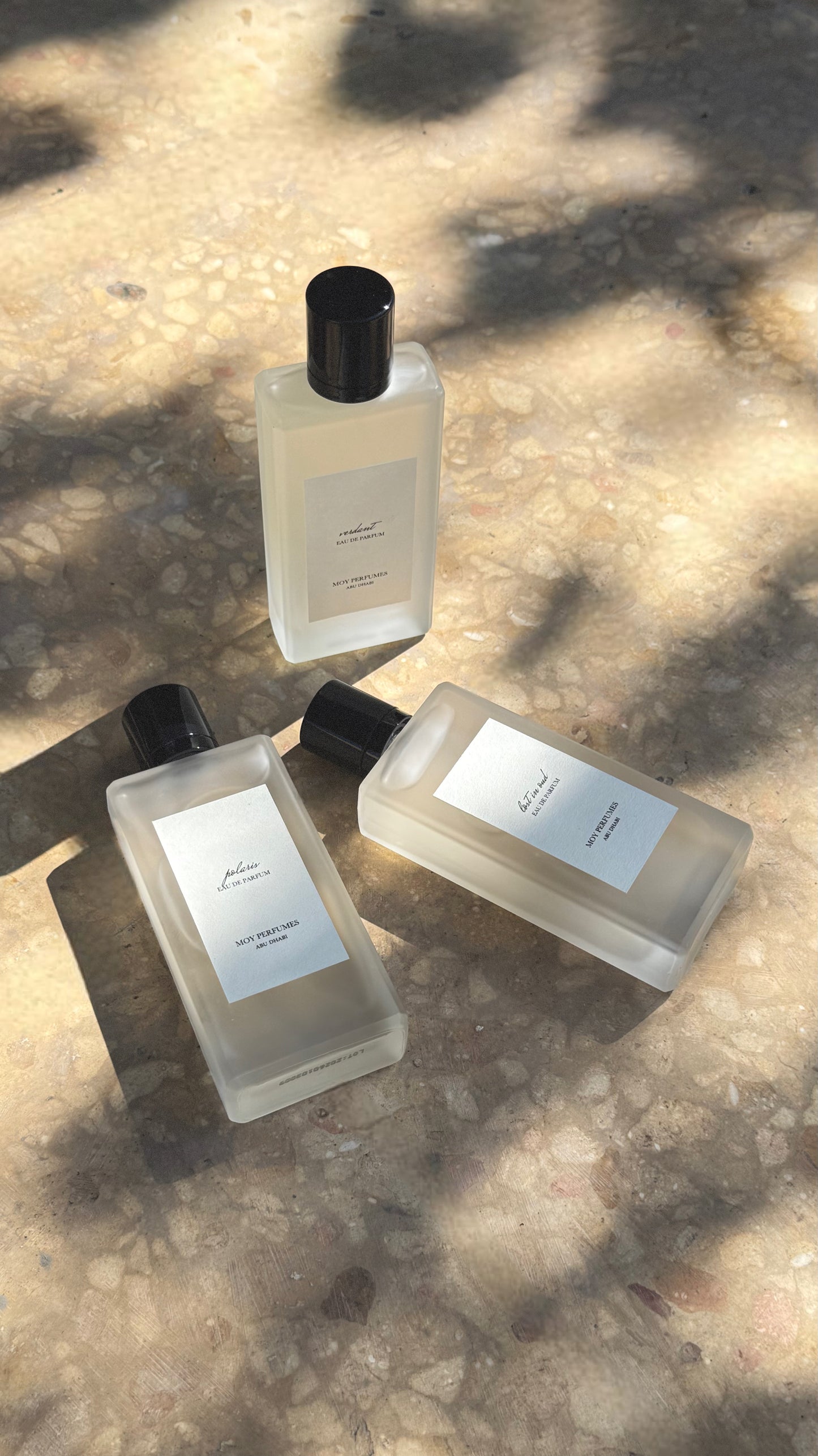 Lost In Oud